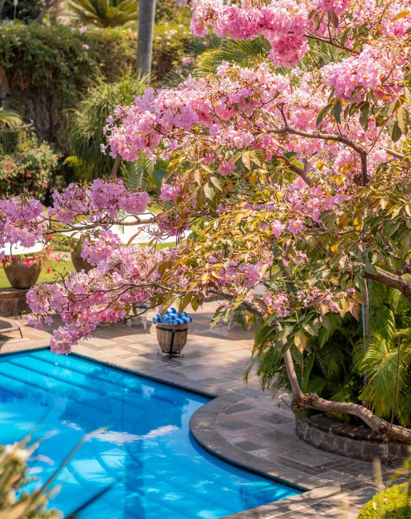 Las Mananitas Cuernavaca Eksteriør billede
